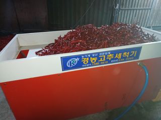 오영도님의 자유주제 · 자유게시판 작성글 사진