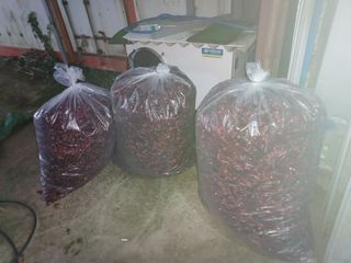 오영도님의 자유주제 · 자유게시판 작성글 사진