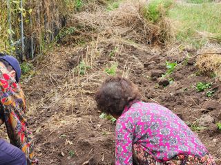 이창신님의 자유주제 · 자유게시판 작성글 사진