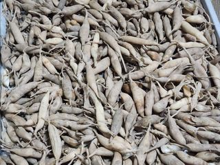 이창신님의 자유주제 · 자유게시판 작성글 사진