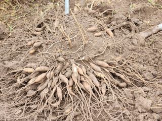 이창신님의 자유주제 · 자유게시판 작성글 사진