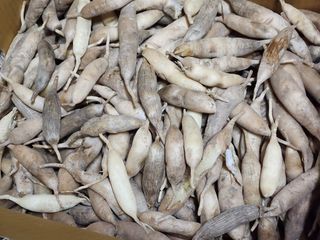 이창신님의 자유주제 · 자유게시판 작성글 사진