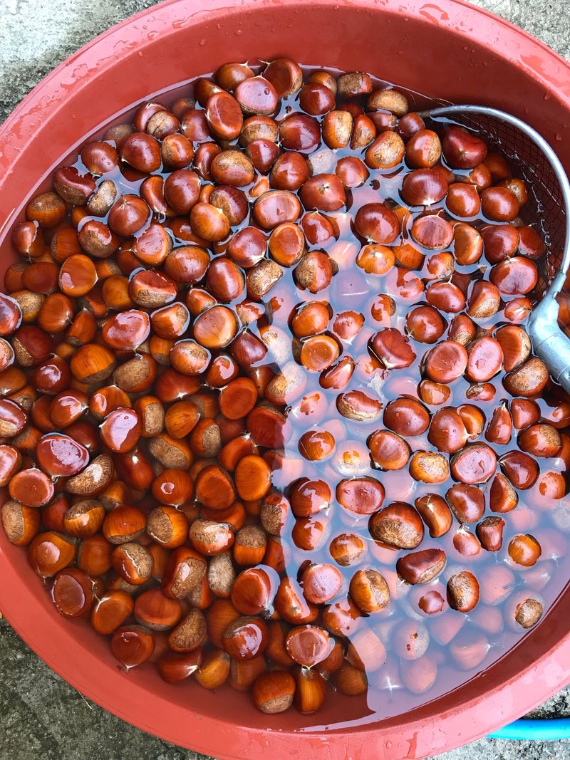 신연희님의 장터 판매 상품 [[판매완료] 고소하고 당도 높은 토종밤 4Kg] 첨부 사진