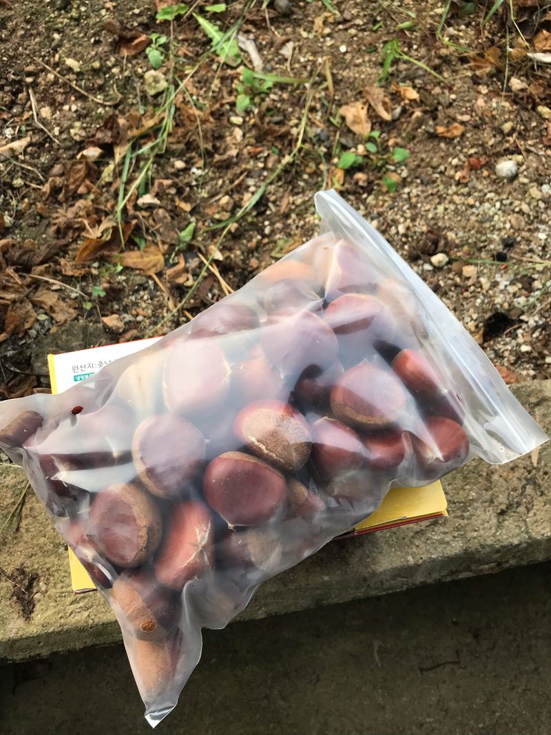 신연희님의 장터 판매 상품 [[판매완료] 고소하고 당도 높은 토종밤 4Kg] 첨부 사진