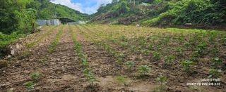 장두원님의 작성글 사진