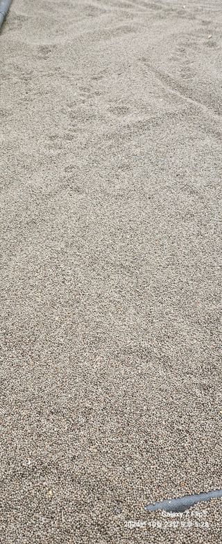 장두원님의 작성글 사진