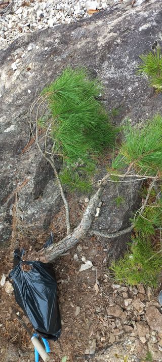 우포로찐님의 작성글 사진