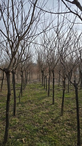 기중권님의 자유주제 · 자유게시판 작성글 사진