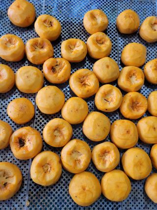 안성의 농사준비꾼님의 감 · 영농일지 작성글 사진