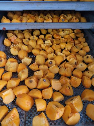 안성의 농사준비꾼님의 감 · 영농일지 작성글 사진