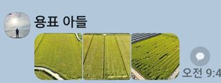 이규현님의 벼 · 영농일지 작성글 사진