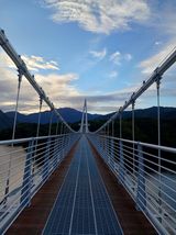 팜모닝 자유주제·자유게시판 게시글 이미지