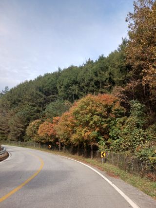 농사정보배우고싶어요님의 자유주제 · 자유게시판 작성글 사진