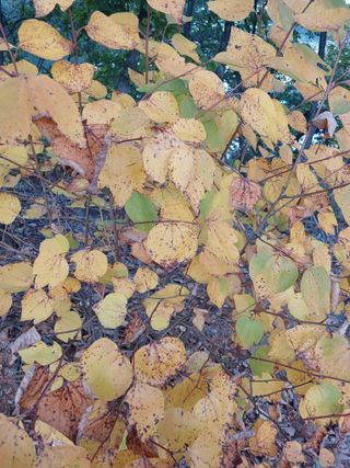농사정보배우고싶어요님의 자유주제 · 자유게시판 작성글 사진