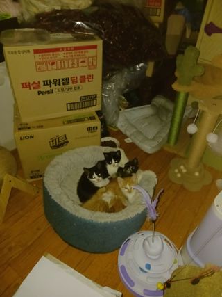 오화순님의 자유주제 · 자유게시판 작성글 사진