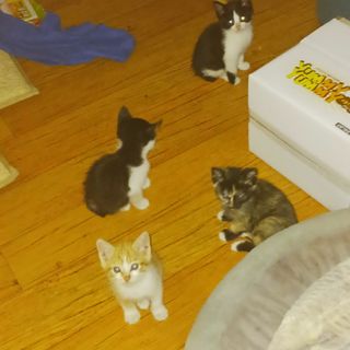 오화순님의 자유주제 · 자유게시판 작성글 사진