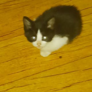 오화순님의 자유주제 · 자유게시판 작성글 사진