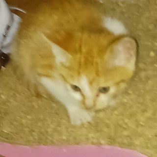 오화순님의 자유주제 · 자유게시판 작성글 사진