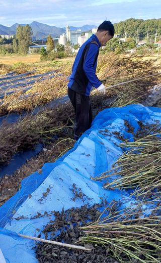 박병규님의 들깨 · 영농일지 작성글 사진