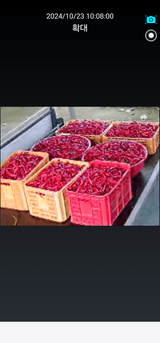 팜모닝 자유주제·자유게시판 게시글 이미지