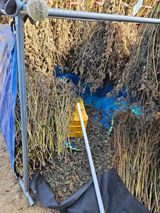 팜모닝 들깨·영농일지 게시글 이미지