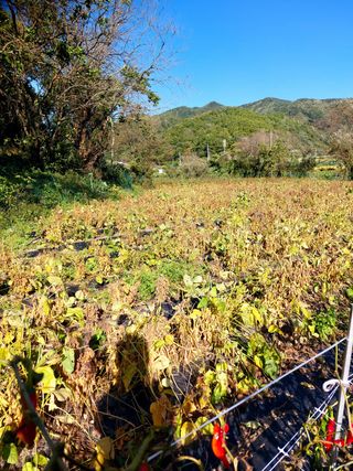 최종일님의 자유주제 · 자유게시판 작성글 사진