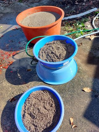 최종일님의 자유주제 · 자유게시판 작성글 사진