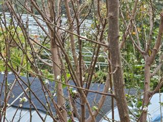 청산거사님의 자유주제 · 자유게시판 작성글 사진