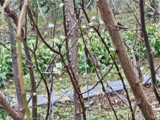 청산거사님의 자유주제 · 자유게시판 작성글 사진