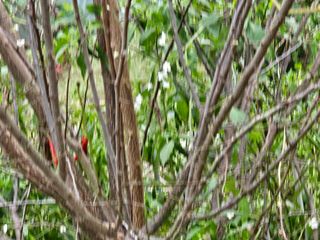 청산거사님의 자유주제 · 자유게시판 작성글 사진