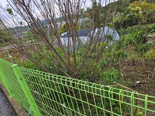 청산거사님의 자유주제 · 자유게시판 작성글 사진