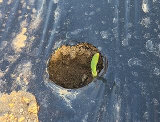 윤창기님의 자유주제 · 자유게시판 작성글 사진