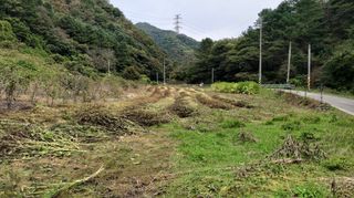 효명 이승배님의 들깨 · 영농일지 작성글 사진