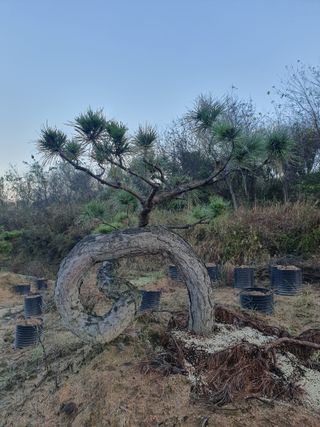 알 수 없음님의 자유주제 · 자유게시판 작성글 사진