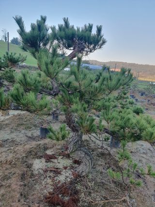 알 수 없음님의 자유주제 · 자유게시판 작성글 사진