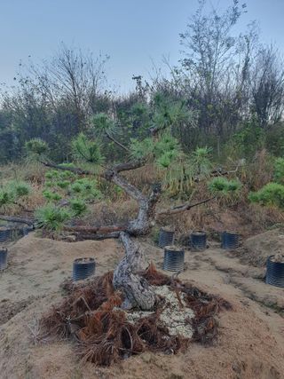 알 수 없음님의 자유주제 · 자유게시판 작성글 사진