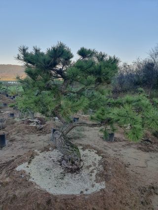 알 수 없음님의 자유주제 · 자유게시판 작성글 사진
