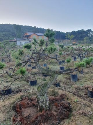 알 수 없음님의 자유주제 · 자유게시판 작성글 사진