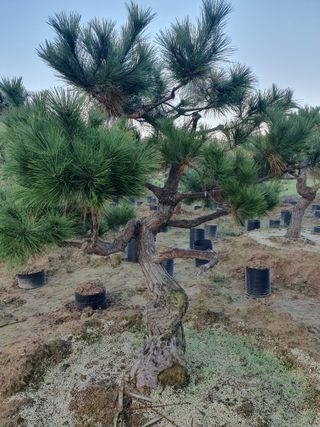 알 수 없음님의 자유주제 · 자유게시판 작성글 사진