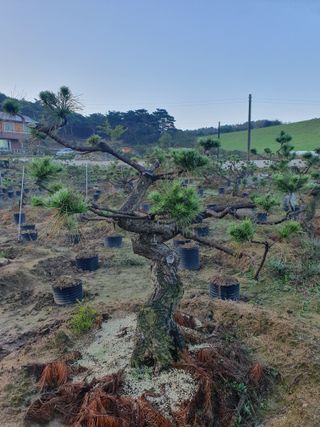 알 수 없음님의 자유주제 · 자유게시판 작성글 사진