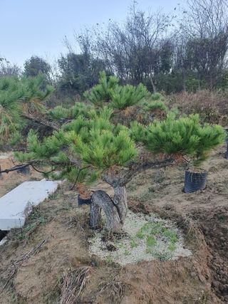 알 수 없음님의 자유주제 · 자유게시판 작성글 사진