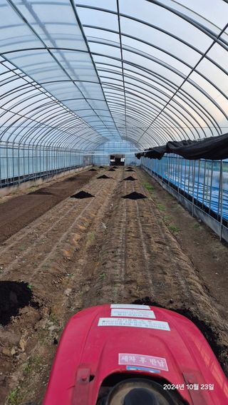 아침상추님의 상추 · 영농일지 작성글 사진