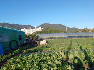 오영도님의 자유주제 · 자유게시판 작성글 사진