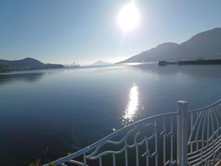 오영도님의 자유주제 · 자유게시판 작성글 사진