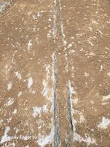 팜모닝 마늘·영농일지 게시글 이미지