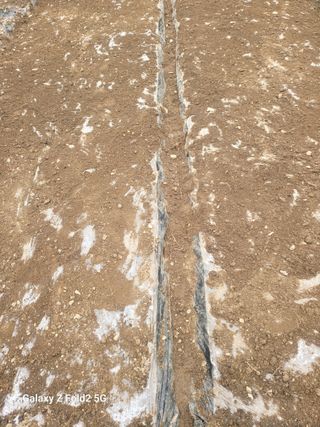 최덕병님의 마늘 · 영농일지 작성글 사진