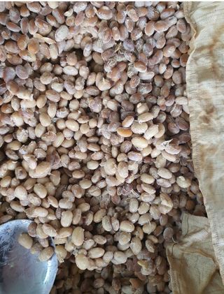 박병철님의 자유주제 · 사진전 작성글 사진