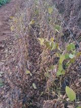 팜모닝 자유주제·자유게시판 게시글 이미지