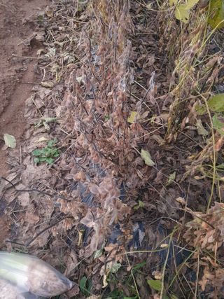 주옥님의 자유주제 · 자유게시판 작성글 사진