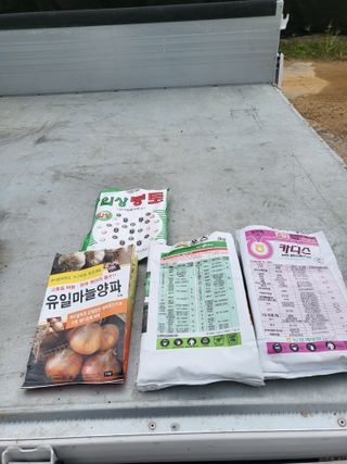 이상욱님의 마늘 · 영농일지 작성글 사진